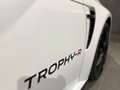 Renault Megane Coupe 2.0 turbo RS Trophy R 300cv Weiß - thumbnail 8