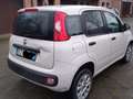 Fiat Panda 0.9 t.air t. natural power Easy 80cv E6 Beige - thumbnail 2