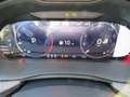 Skoda Scala Tour 1.0TSI 85kW DSG AHK RFK Tiptronic Grau - thumbnail 21