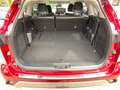 Toyota Highlander 2.5 Luxury AHK,7Sitze,Pano Rouge - thumbnail 17