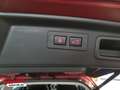 Subaru Forester Forester 2.0ie Comfort Allrad Navi EyeSight MJ23 Roşu - thumbnail 7