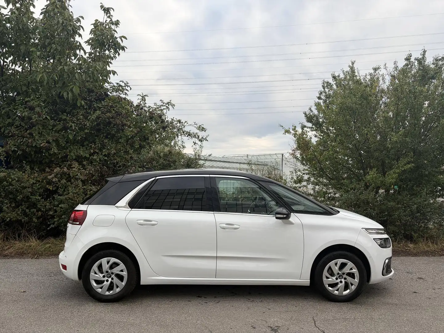Citroen C4 Picasso Shine Aut. 120 Diesel AHK *Extras*Serviceheft* Weiß - 2