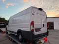 Fiat Ducato Maxi Kasten 35 130 L5H2*KLIMA* Blanc - thumbnail 7