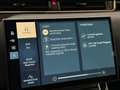 Land Rover Range Rover Evoque Range Rover Evoque 2.0D I4 163 CV AUTOCARRO N1 - thumbnail 12