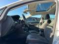 Volkswagen Golf VII Lim. Highline ACC S-Heitzung Panorama-D Blanc - thumbnail 21