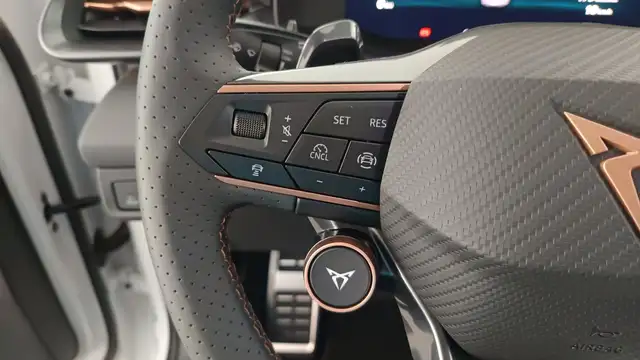 Cupra Terramar view 15