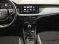 Skoda Kamiq 1.0TSI DSG Drive Matrix SHZ Rear View Grigio - thumbnail 15