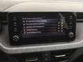 Skoda Kamiq 1.0TSI DSG Drive Matrix SHZ Rear View Grau - thumbnail 16