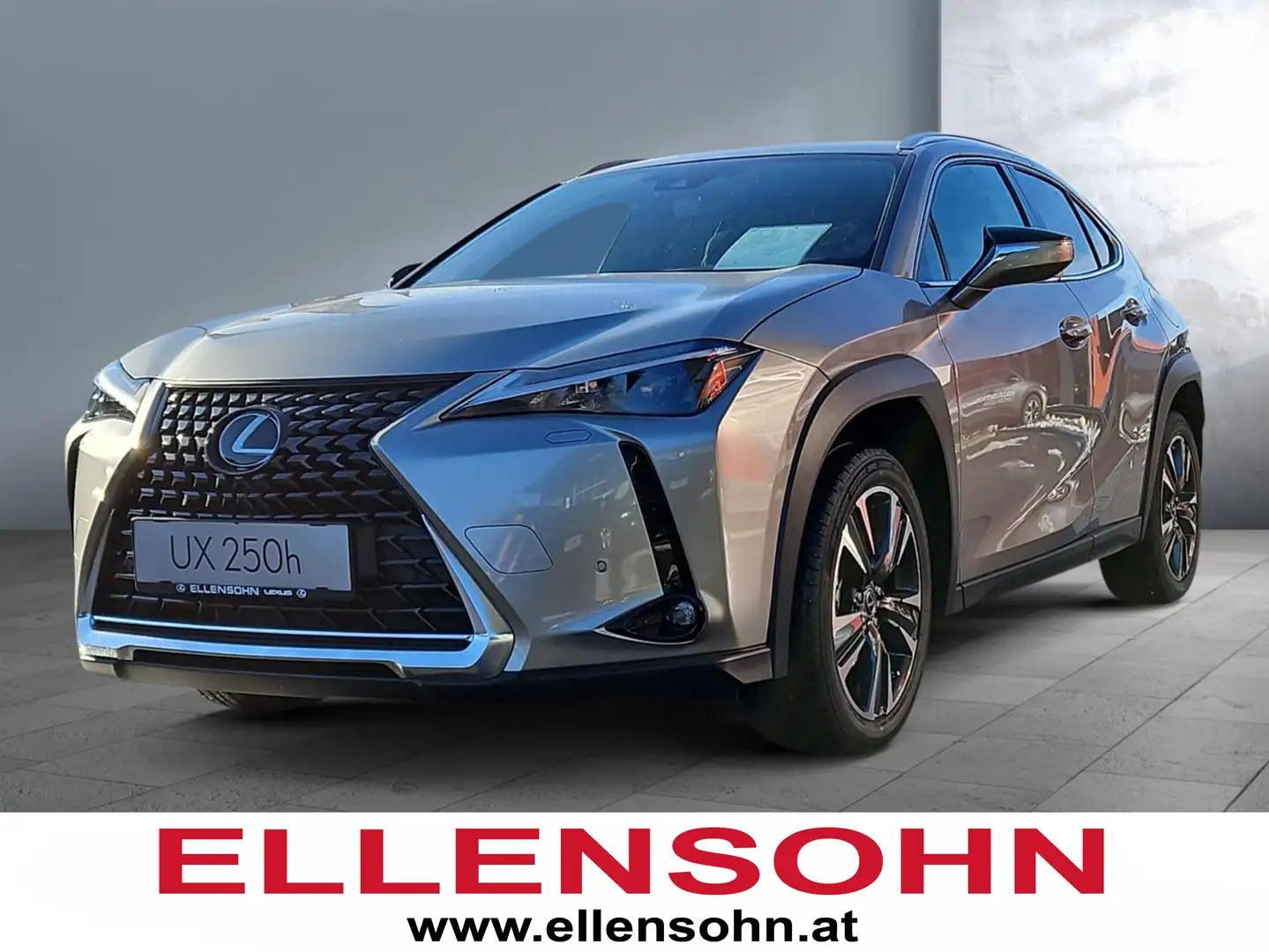Lexus UX 250h Style Edition Silber - 1
