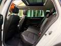 Volkswagen Passat Alltrack ALLTRACK 2.0 bitdi CAMERE 360 4X4 240cv dsg TETTO Blanc - thumbnail 11