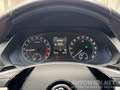 Skoda Octavia 2,0 TDI DSG 4x4 | ALLRAD | AUTOMATIK Silber - thumbnail 4