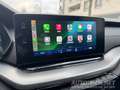 Skoda Octavia 2,0 TDI DSG 4x4 | ALLRAD | AUTOMATIK Silber - thumbnail 6
