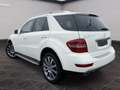 Mercedes-Benz ML 350 ML 350 CDI (VDS 164.122) Weiß - thumbnail 4