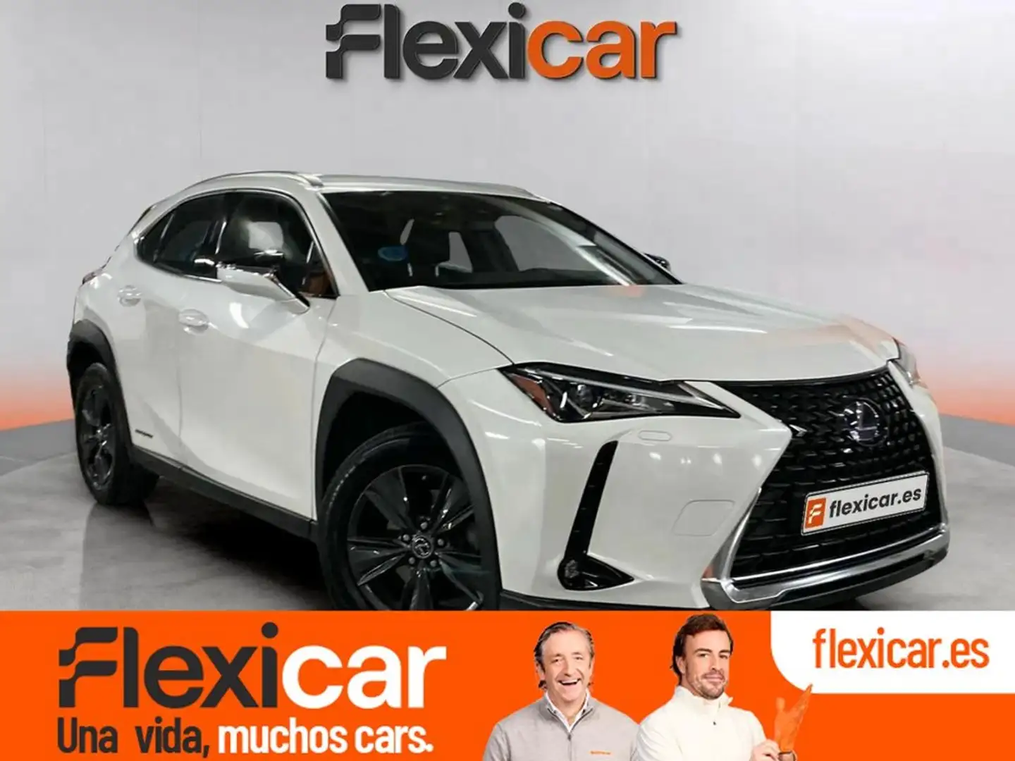 Lexus UX 250h 2.0 Business 4WD Amarillo - 1