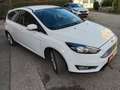 Ford Focus 1,0 EcoBoost Titanium Weiß - thumbnail 3