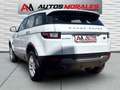 Land Rover Range Rover Evoque 2.0eD4 Pure 2WD 150 Blanco - thumbnail 4
