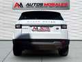 Land Rover Range Rover Evoque 2.0eD4 Pure 2WD 150 Blanco - thumbnail 7