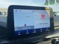 Ford Kuga 2.0 EcoBlue ST-Line X ACC+AHK+LED+Navi+SHZ Bleu - thumbnail 13