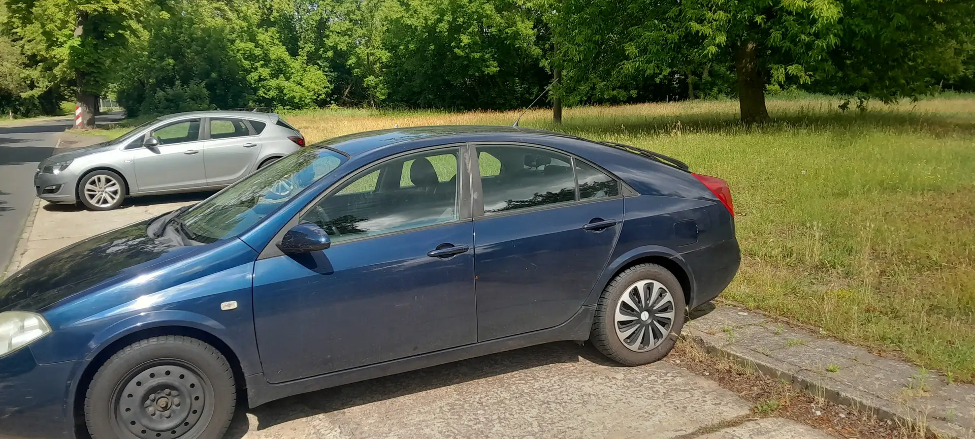 Nissan Primera Primera 1.8 acenta Bleu - 2