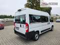 Fiat Ducato 33 140 Multijet L2H2  9-Sitzer 103 kW (140 PS),... Blanc - thumbnail 5