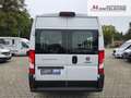 Fiat Ducato 33 140 Multijet L2H2  9-Sitzer 103 kW (140 PS),... Blanc - thumbnail 4