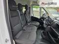 Fiat Ducato 33 140 Multijet L2H2  9-Sitzer 103 kW (140 PS),... Blanc - thumbnail 9