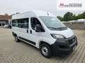 Fiat Ducato 33 140 Multijet L2H2  9-Sitzer 103 kW (140 PS),... Blanc - thumbnail 7