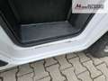 Fiat Ducato 33 140 Multijet L2H2  9-Sitzer 103 kW (140 PS),... Blanc - thumbnail 29