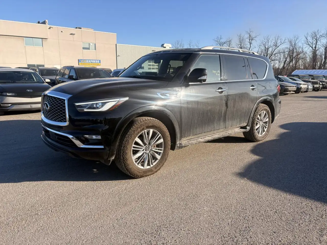 2024 Infiniti QX80
