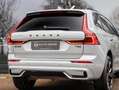 Volvo XC60 2.0 T6 AWD Plus Dark 360 cam Harman Kardon Gris - thumbnail 24