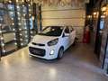 Kia Picanto Picanto 1.0i **11296 KM / AIRCO / CARNET / 1ER PRO Blanc - thumbnail 3