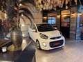 Kia Picanto Picanto 1.0i **11296 KM / AIRCO / CARNET / 1ER PRO Blanc - thumbnail 7
