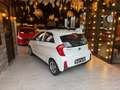 Kia Picanto Picanto 1.0i **11296 KM / AIRCO / CARNET / 1ER PRO Blanc - thumbnail 5