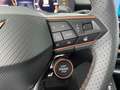 CUPRA Terramar ALPHA 1.5 e-TSI 150 PS DSG Grau - thumbnail 15