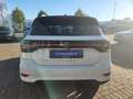 Volkswagen T-Cross 1.0 TSI DSG R-Line LED RFK Clima IQ.Drive Blanc - thumbnail 5