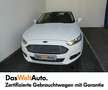 Ford Mondeo Traveller Business Plus 1,5 TDCi Start/Stop Weiß - thumbnail 2