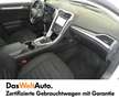 Ford Mondeo Traveller Business Plus 1,5 TDCi Start/Stop Weiß - thumbnail 15
