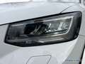 Audi Q2 Advanced 35 TFSI S tronic LED/Navi+/PDC+/RFK Weiß - thumbnail 13