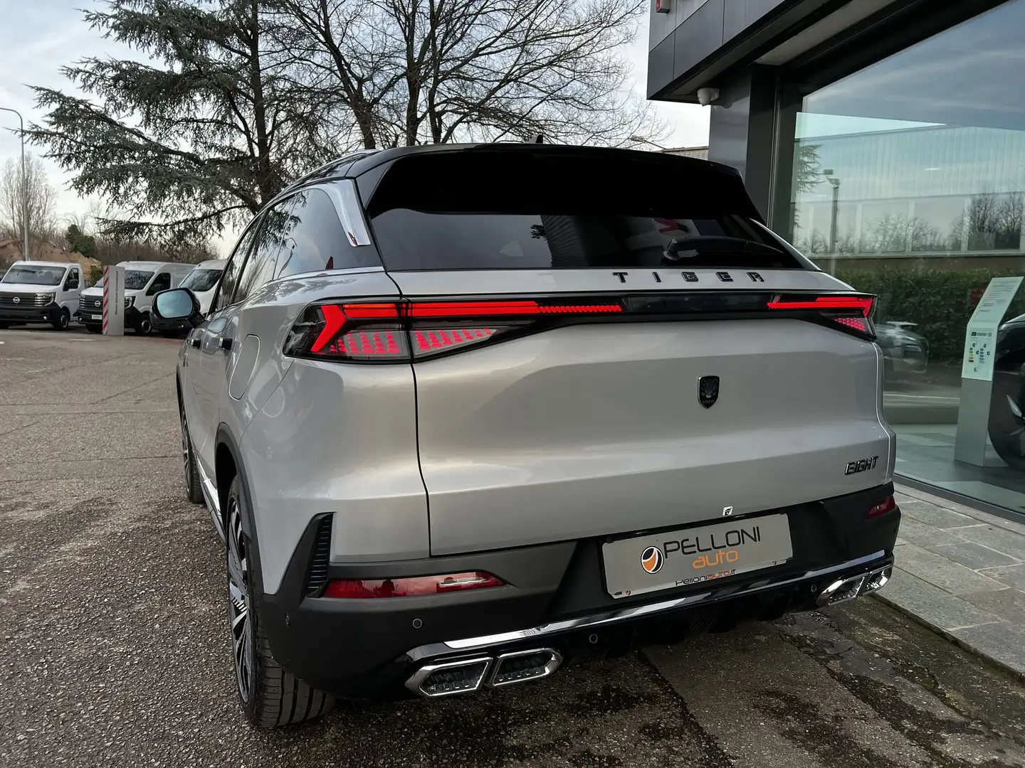 Tiger Sonstige 1.5 DCT Silber - 2