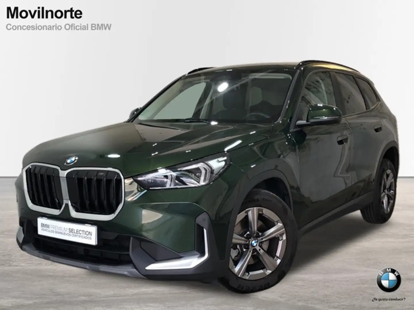 BMW X1 sDrive 18dA Vert - 1