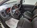 Fiat Panda 1.2 Blanc - thumbnail 8