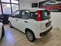 Fiat Panda 1.2 Blanc - thumbnail 6