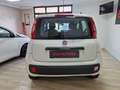 Fiat Panda 1.2 Blanc - thumbnail 4