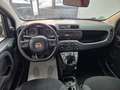 Fiat Panda 1.2 Blanc - thumbnail 15