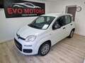 Fiat Panda 1.2 Blanc - thumbnail 1