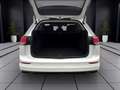 Volkswagen Golf Variant 2.0 TDI DSG LIFE AHK NAVI KAMERA LED Weiß - thumbnail 4