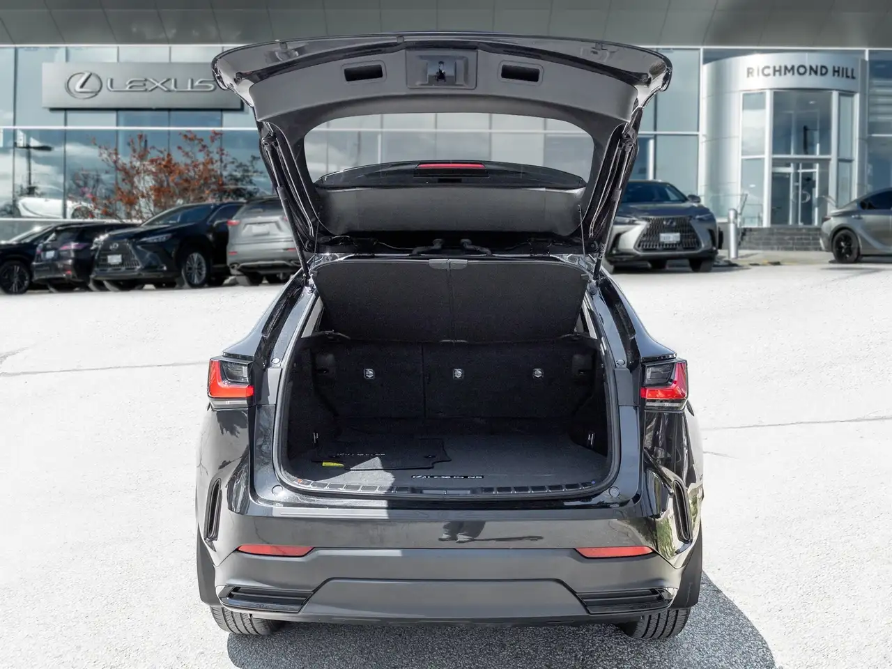 Lexus NX снимка Lexus NX