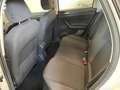 Volkswagen Polo 1.6 TDI 80 CV 5 Porte Navi Comfort PREZZO PROMO Wit - thumbnail 14