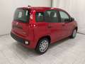 Fiat Panda Pandina 1.0 firefly hybrid 5pti KM ZERO-VARICOLORI Wit - thumbnail 10