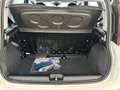 Fiat Panda Pandina 1.0 firefly hybrid 5pti KM ZERO-VARICOLORI Wit - thumbnail 25